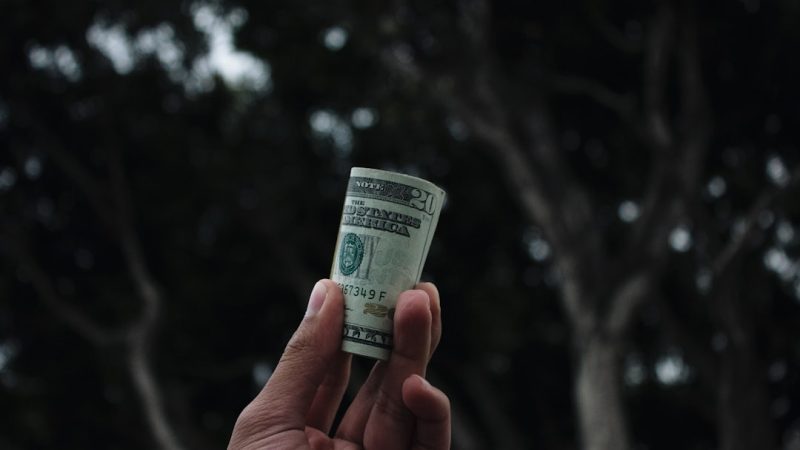 person holding U.S. dollar banknote