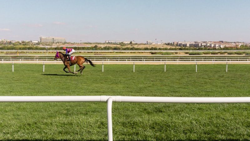 Exciting horse racing event with rider on a green racecourse, cityscape in the background.